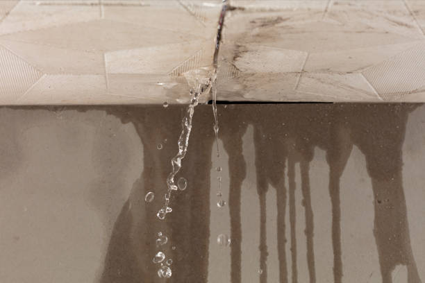 Professional Sewage Cleanup technician working in Springfield, CO